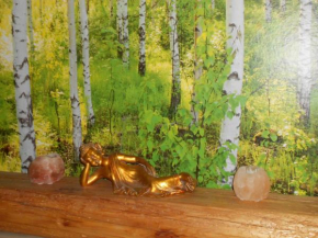 Отель Bed & Breakfast Nettuno  Тренто